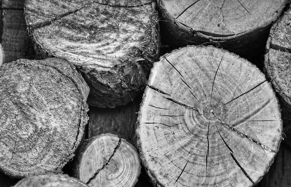 Wood