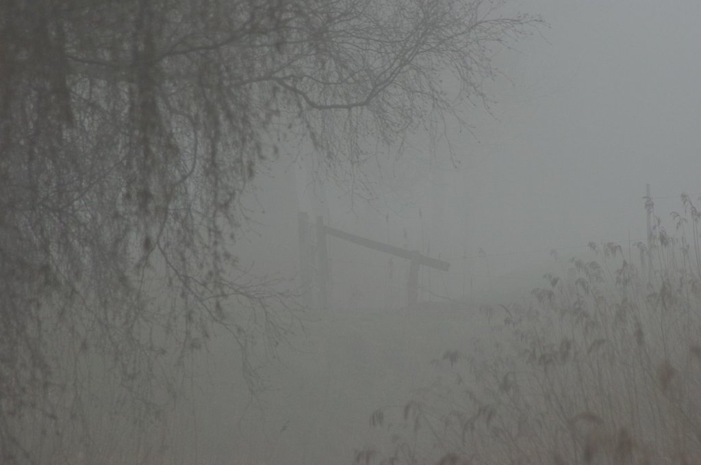Gatter im Nebel